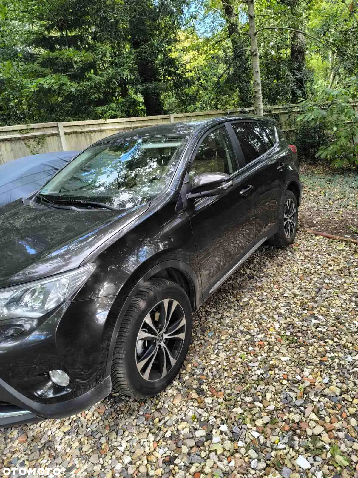 Toyota RAV4 - 3