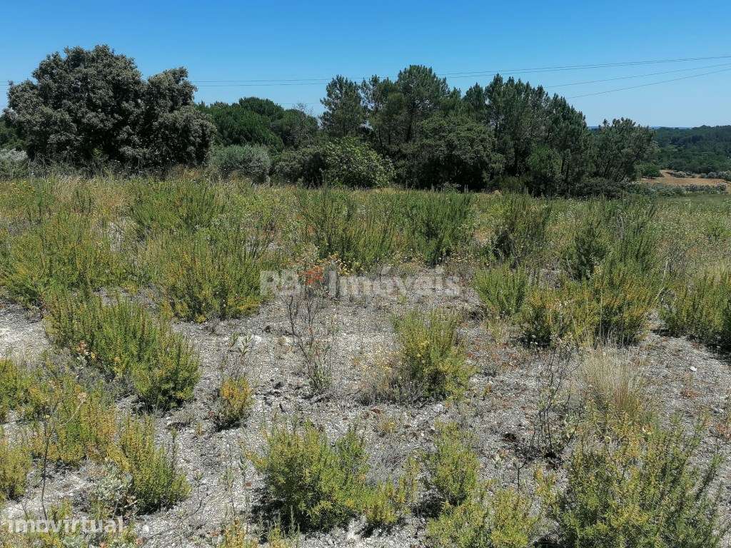 Terreno rústico com 5 hectares - Cem Soldos, Tomar - Grande imagem: 3/7