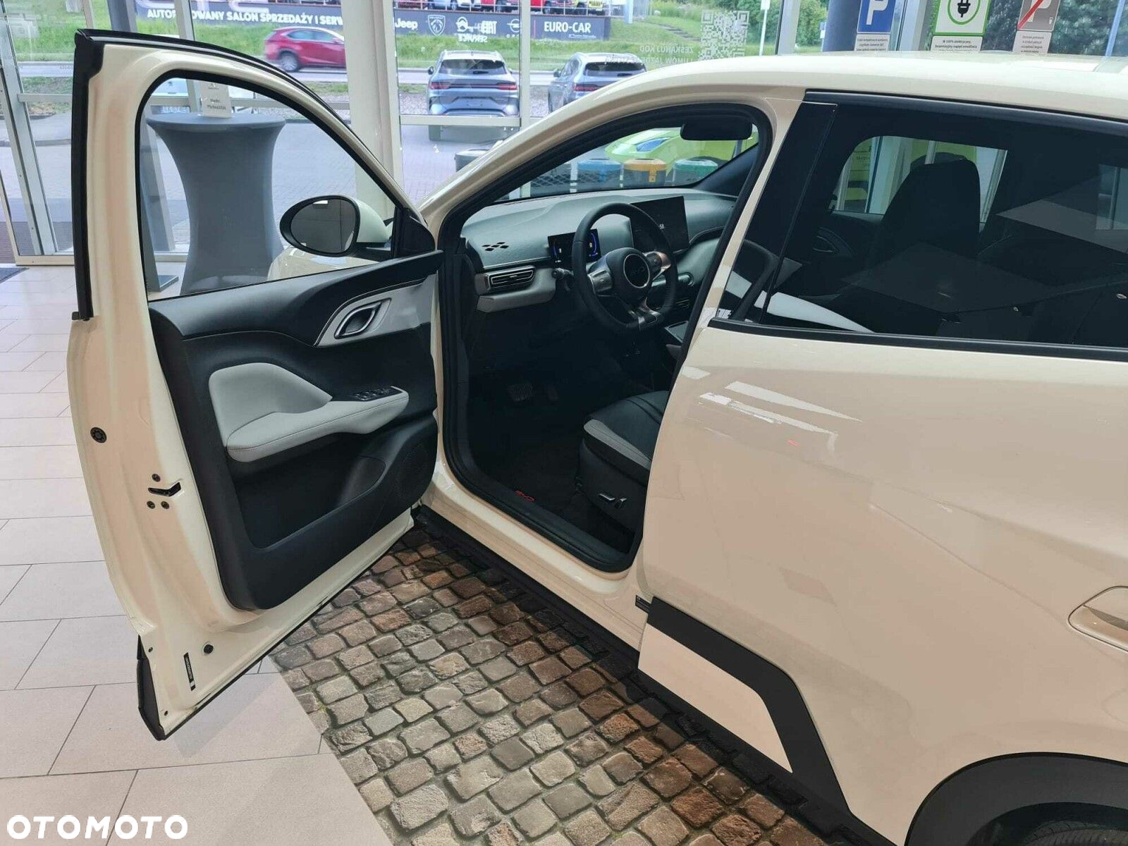 BYD Dolphin Mini - 13