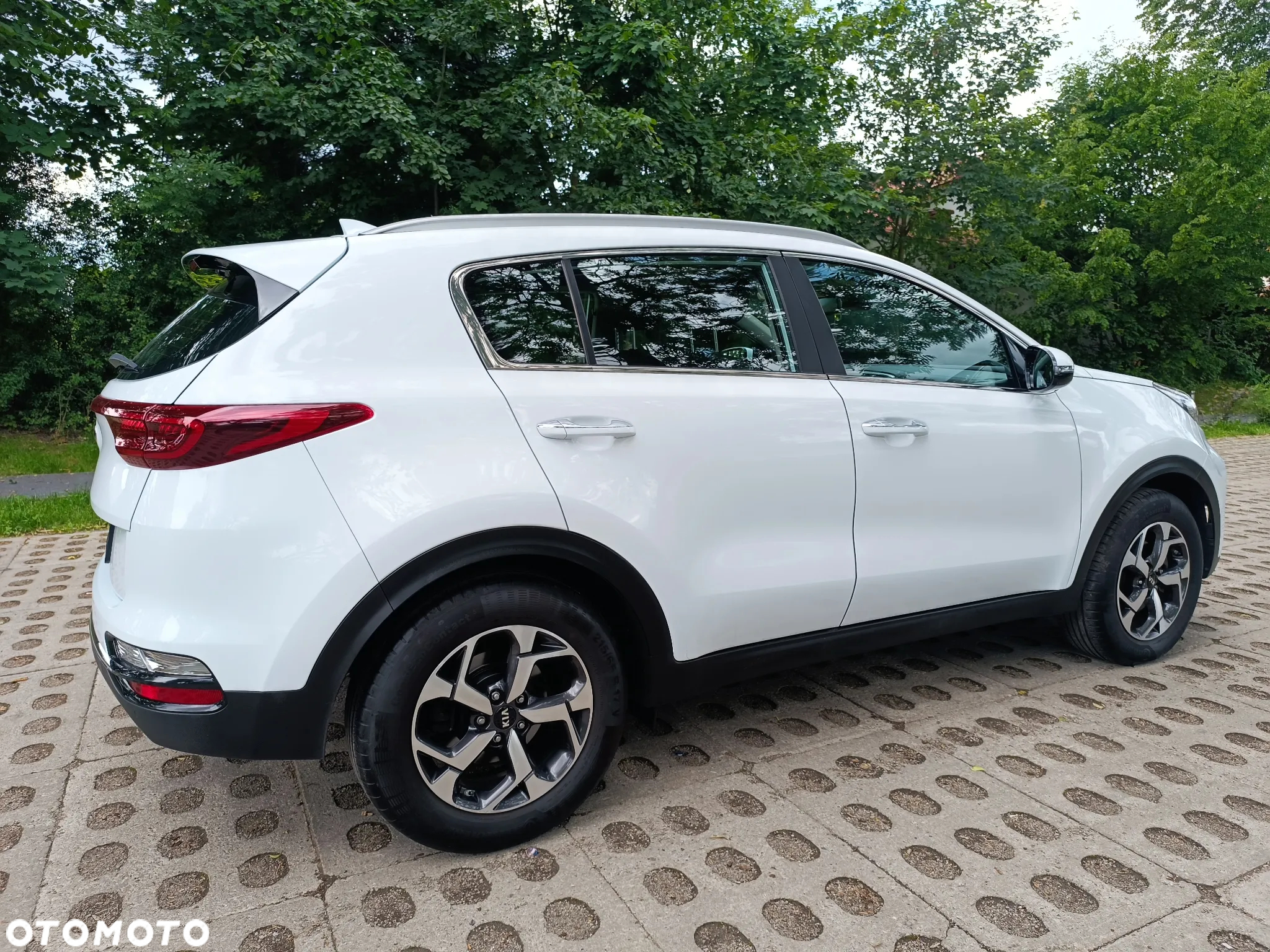 Kia Sportage 1.6 CRDI Black Edition Plus 2WD - 13