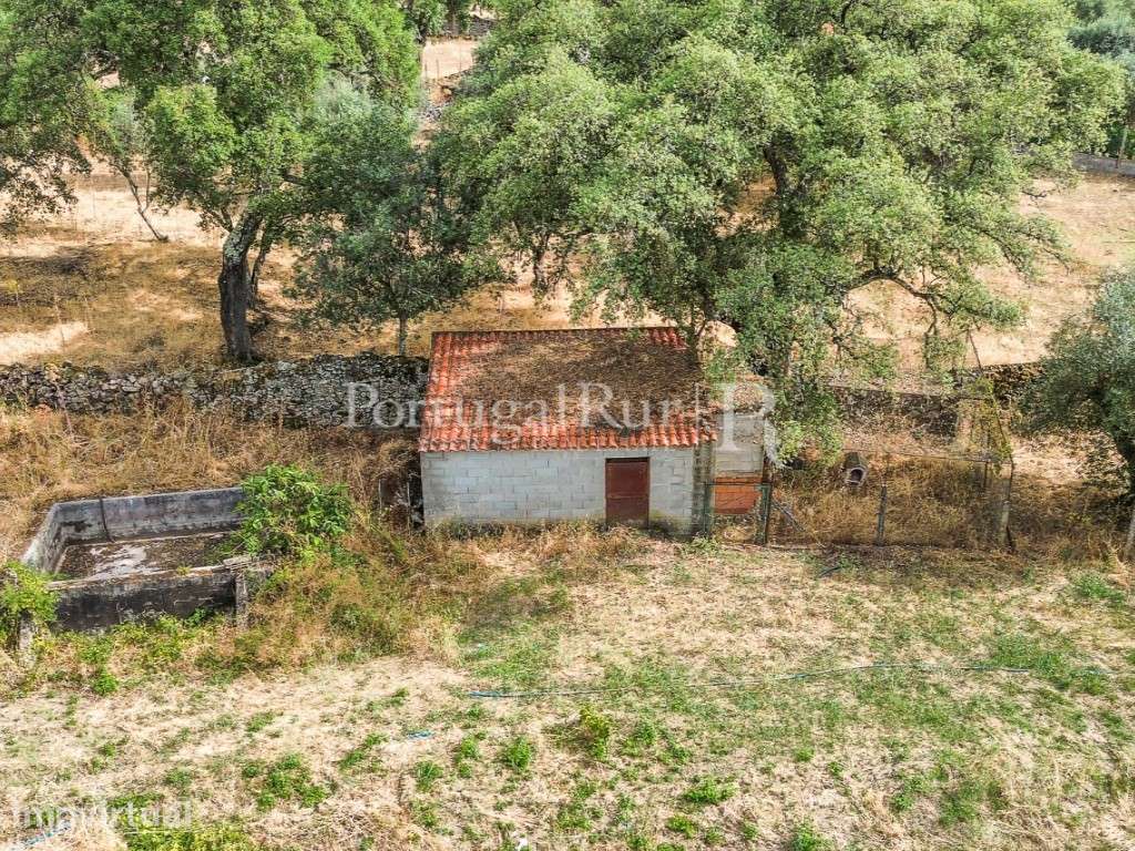 Quintinha de 1.8 hectares em Medelim - Grande imagem: 4/31