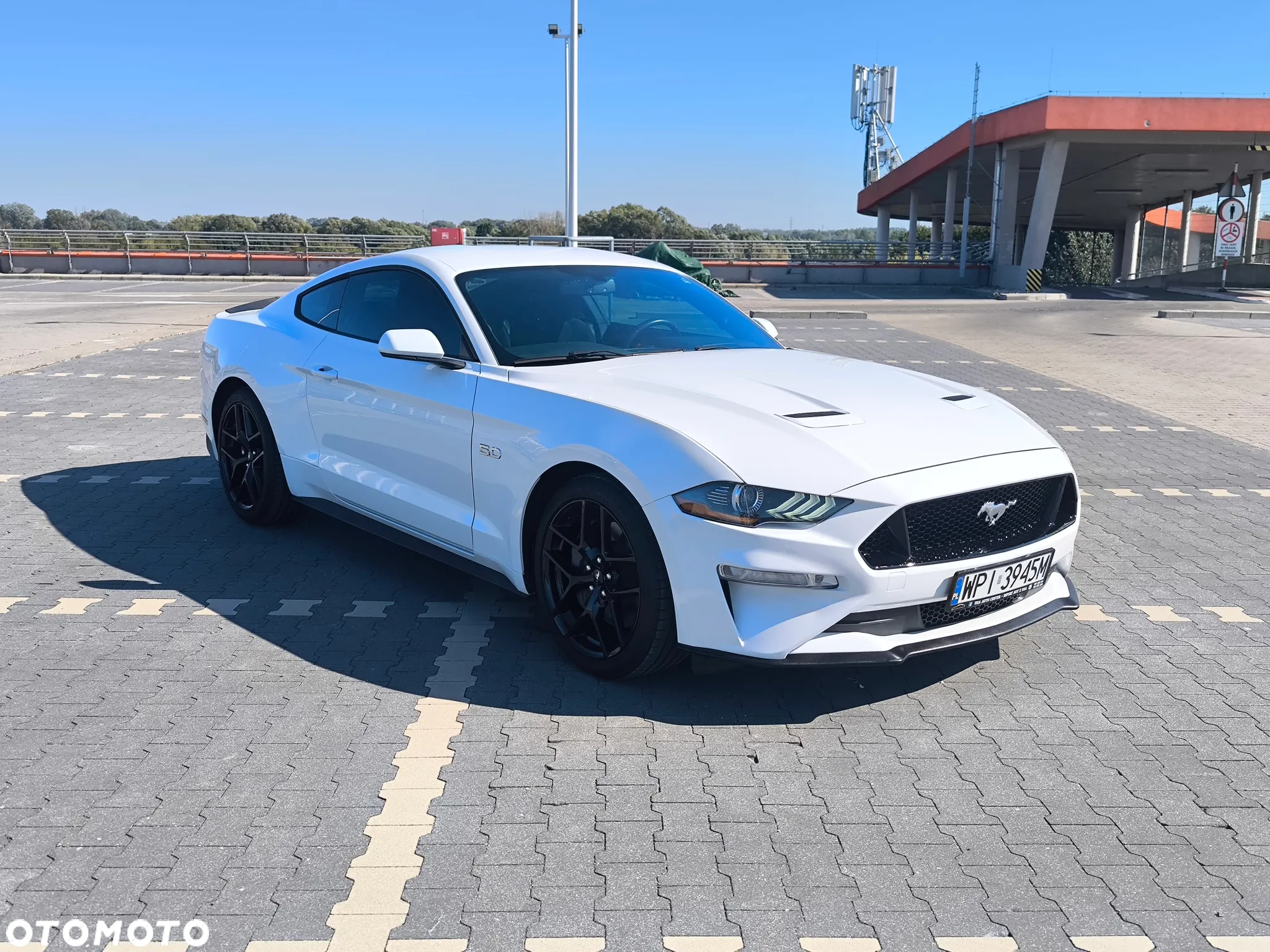 Ford Mustang - 12