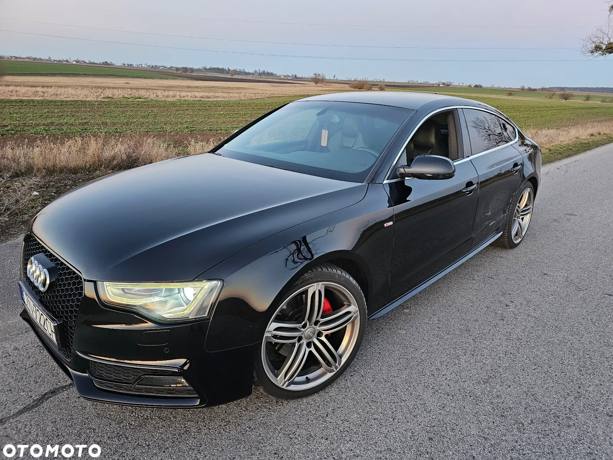 Audi A5 3.0 TDI Quattro S tronic - 17