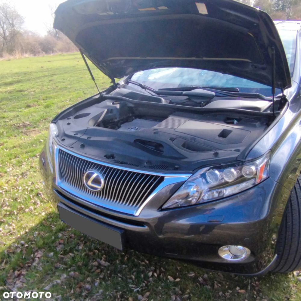 Lexus RX 400h (hybrid) Executive - 9