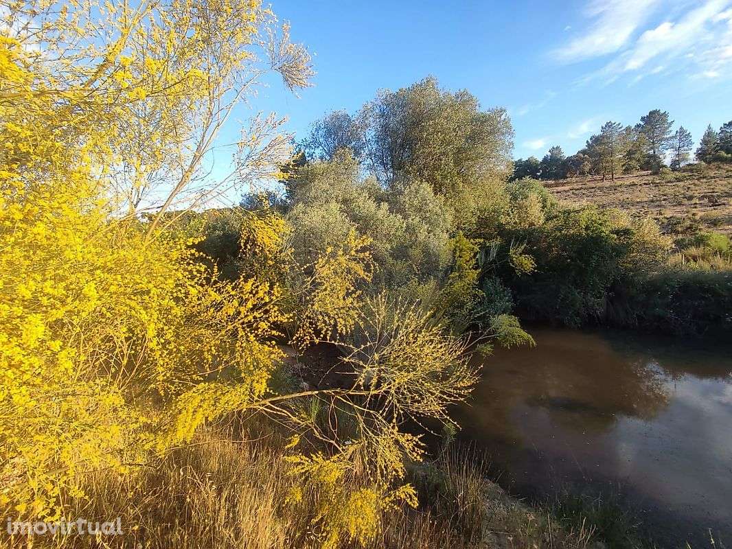 Quinta  para venda - Grande imagem: 2/43