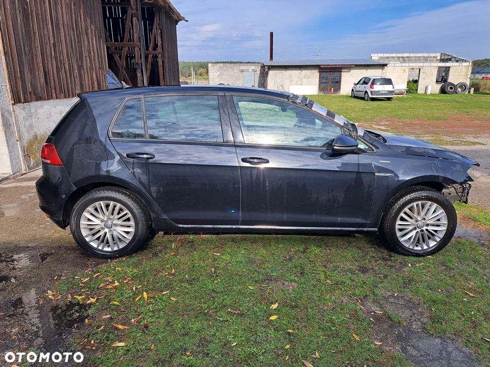 Volkswagen Golf - 4