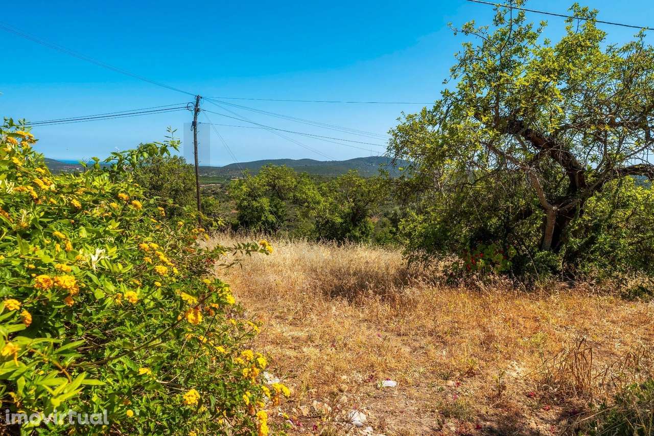 Ruína com Terreno de 2.100m2, Vista Mar e Potencial de Reabilitação – - Grande imagem: 2/30