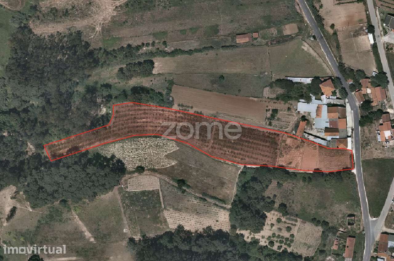 Terreno c/ Projeto Aprovado - Salir de Matos - Grande imagem: 5/17
