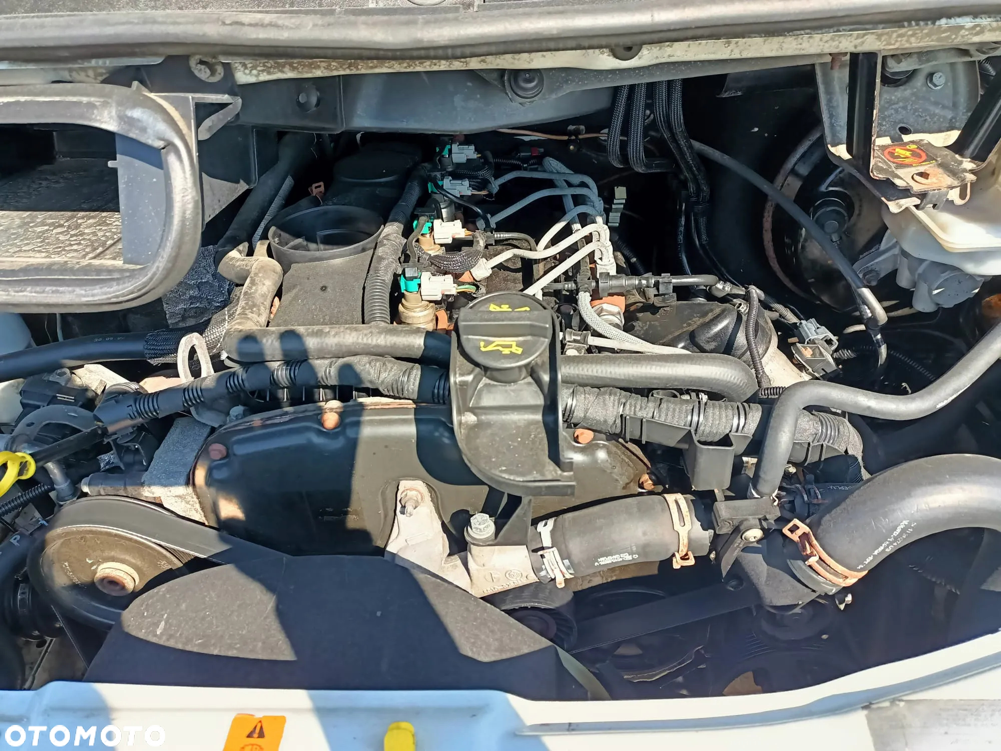Ford Transit - 15