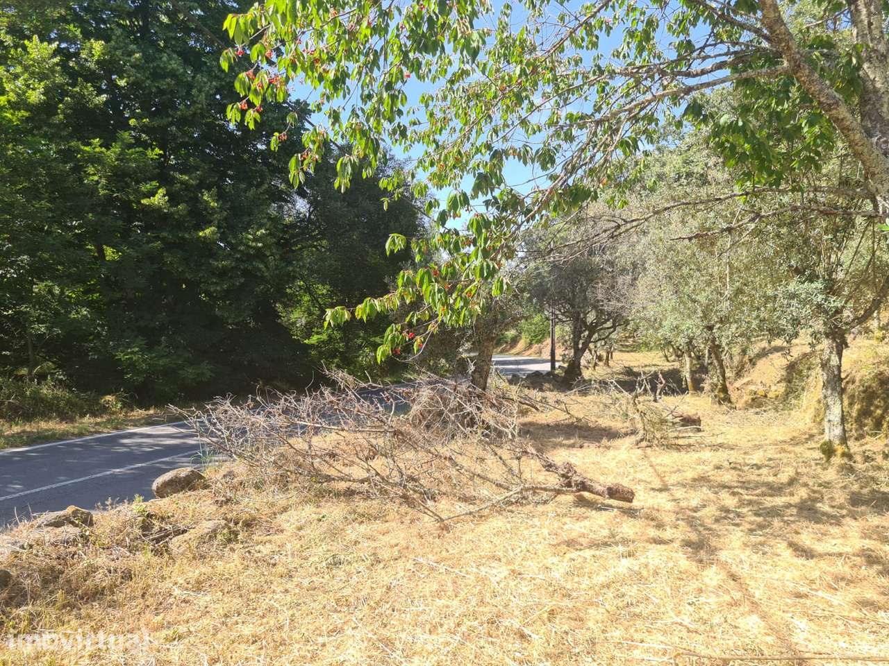 Marvão - Moradia Reconstruir - Lote 2878 m2 - Grande imagem: 5/22