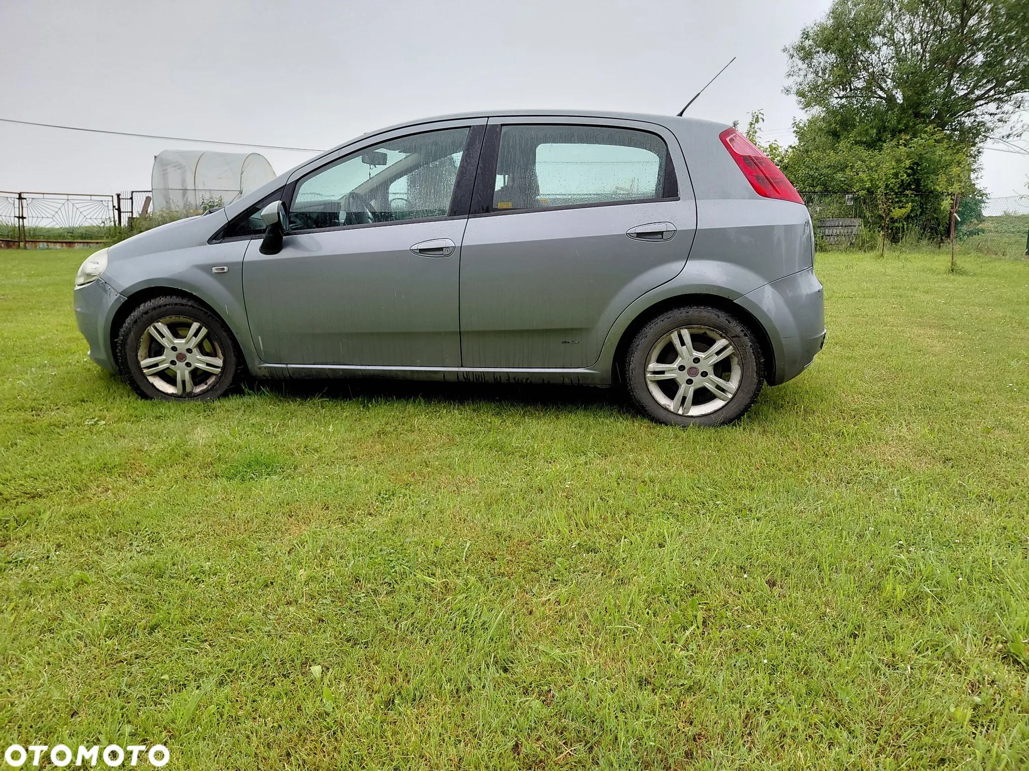 Fiat Punto - 3