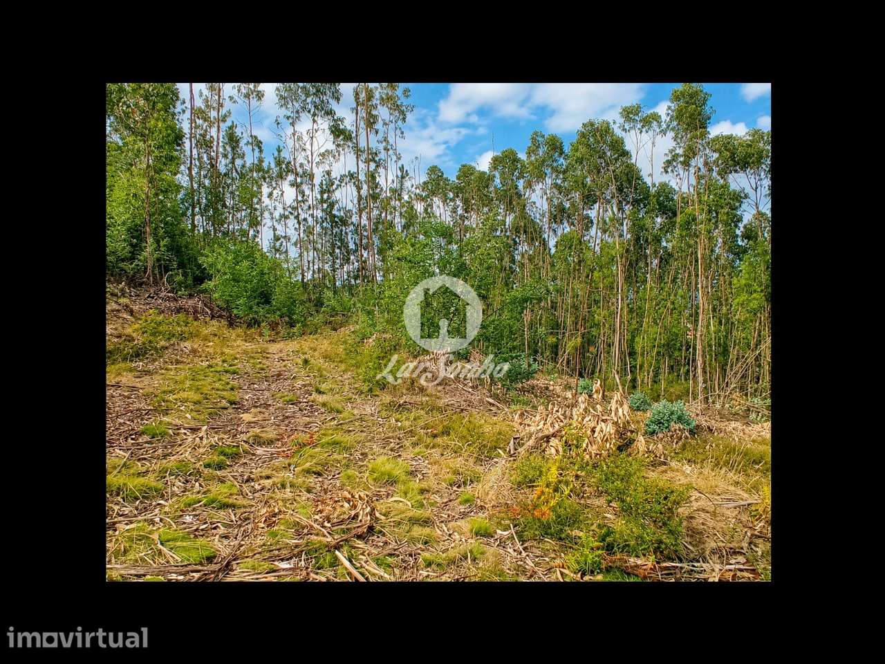 Terreno em Barcelos - Grande imagem: 2/22