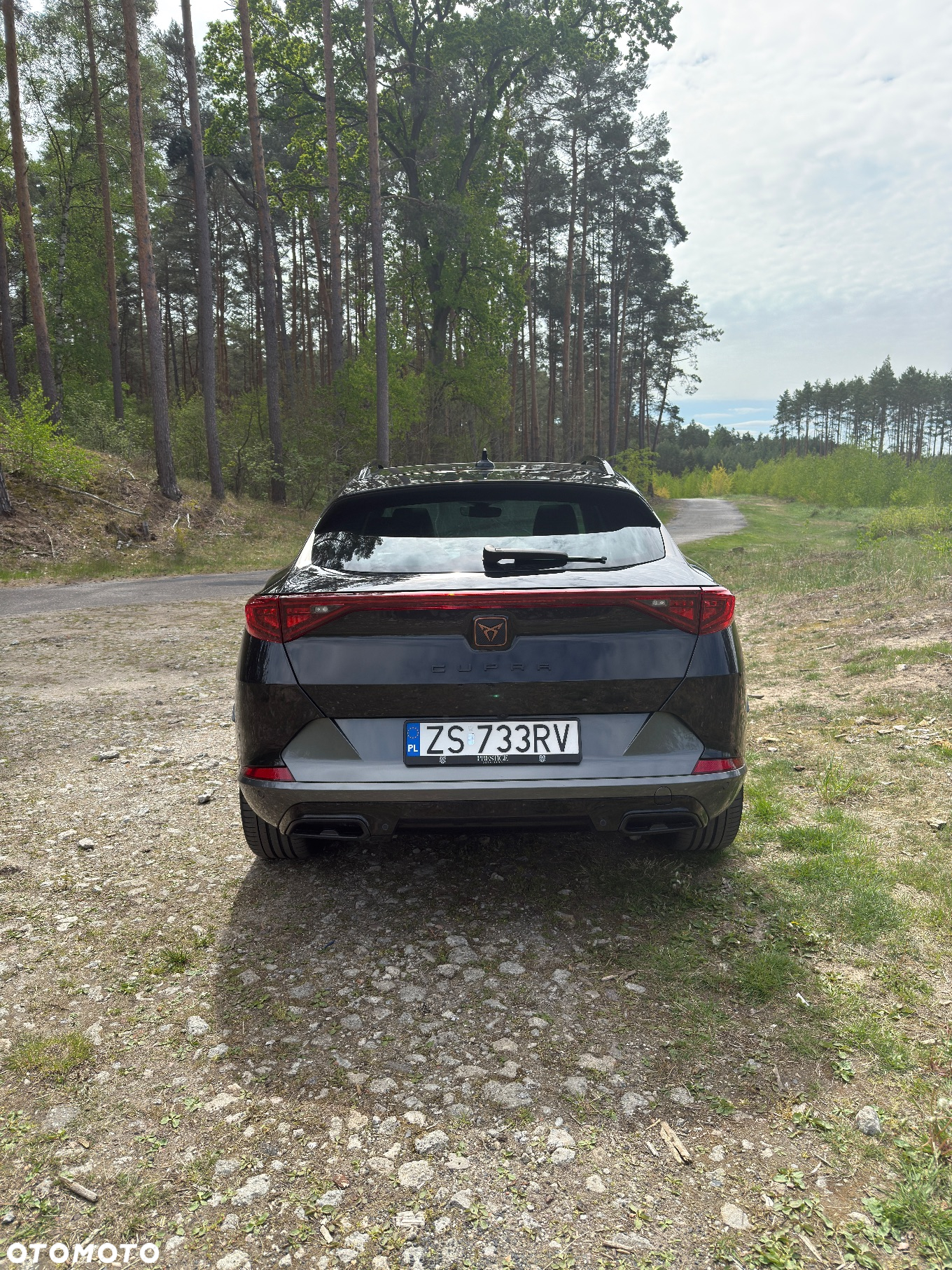 Cupra Formentor 1.5 TSI DSG - 5