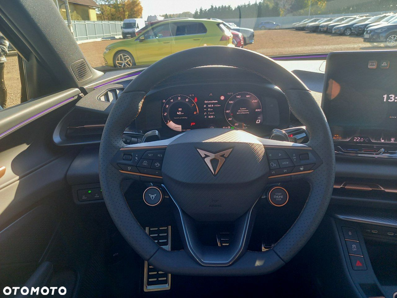 Cupra Terramar - 13