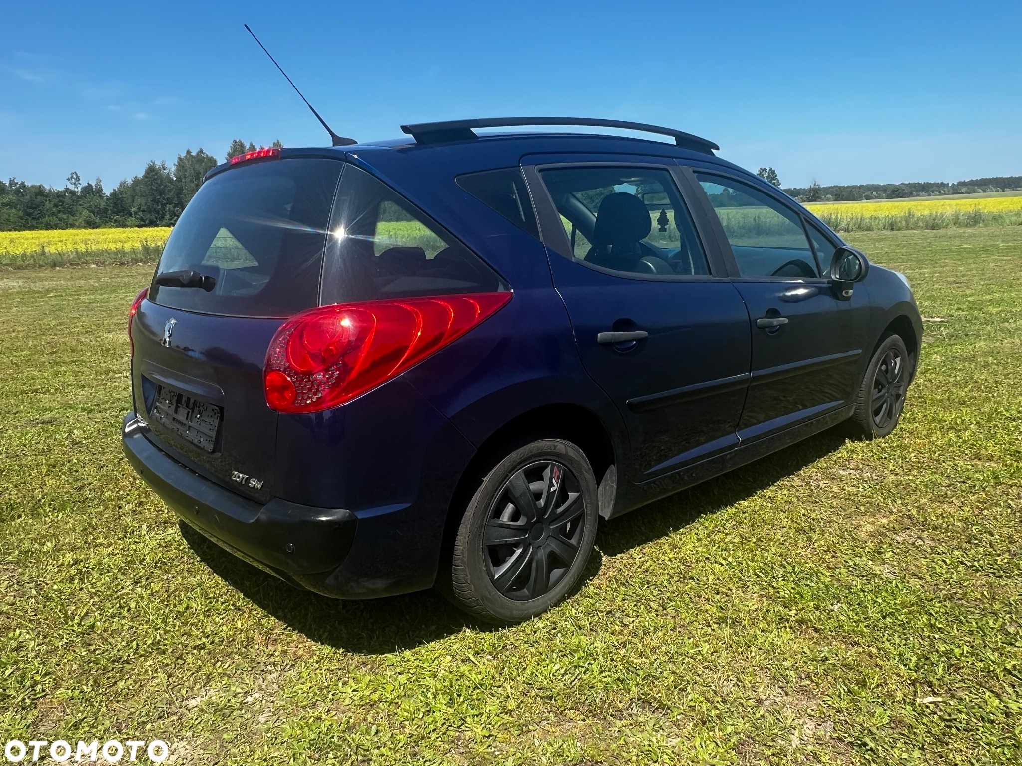 Peugeot 207 - 3