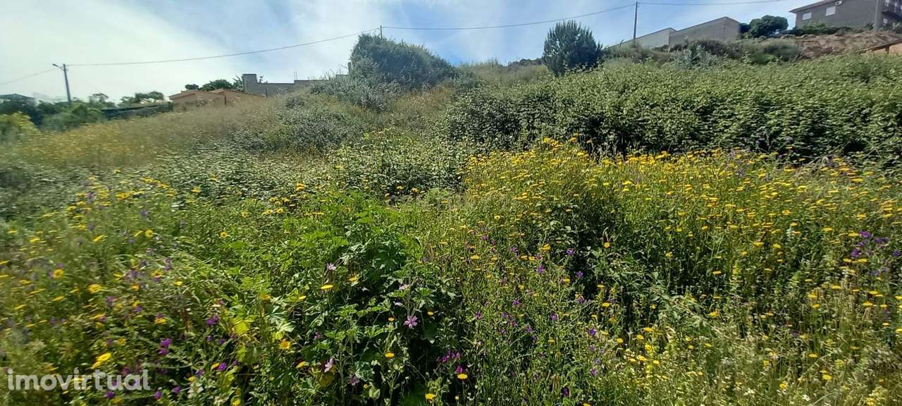 Terreno Rustico com 643 m2 - Grande imagem: 3/8