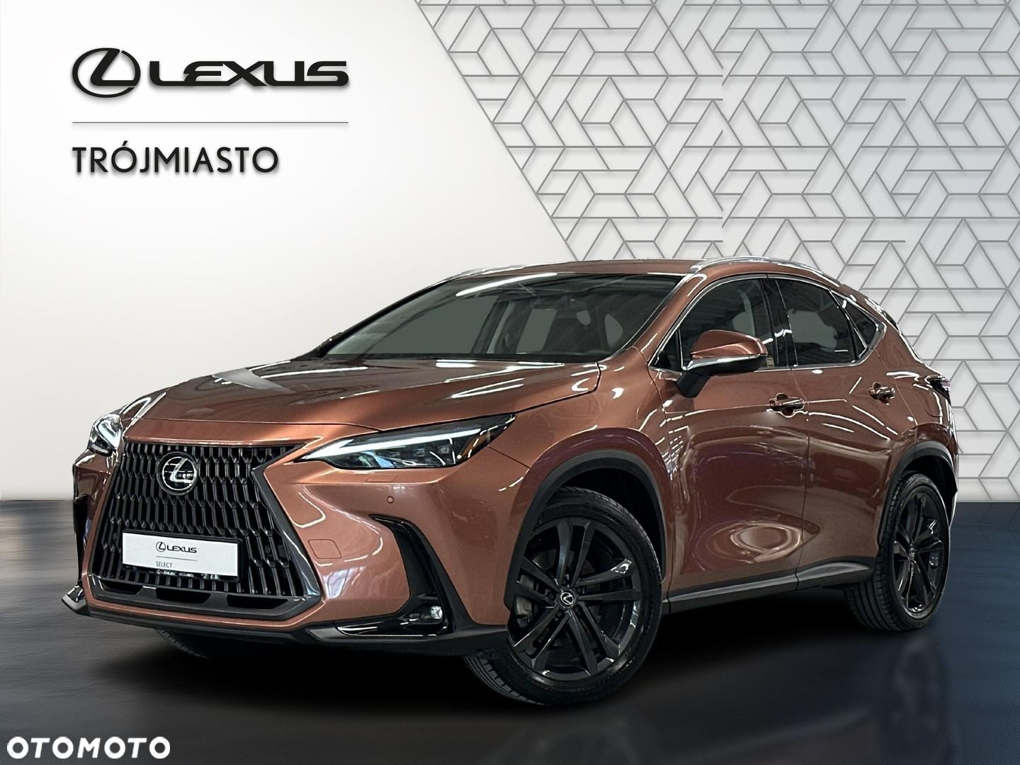 Lexus NX - 1