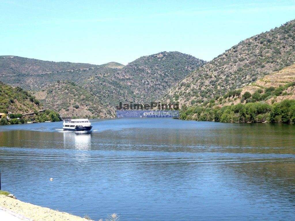 Quinta, Vinha, Casa, frente rio Douro. Portugal, Foz do Sabor, Torr... - Grande imagem: 5/8