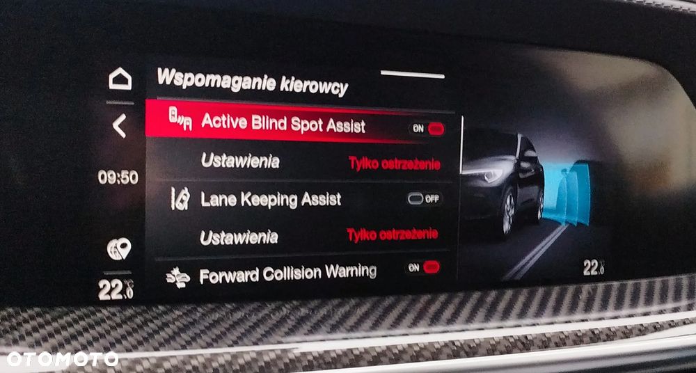 Alfa Romeo Stelvio 2.0 Turbo Veloce Q4 - 12