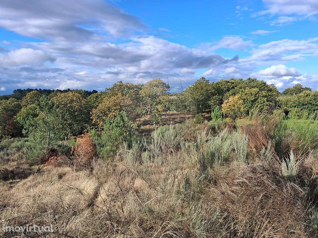 Terreno  para venda - Grande imagem: 3/14