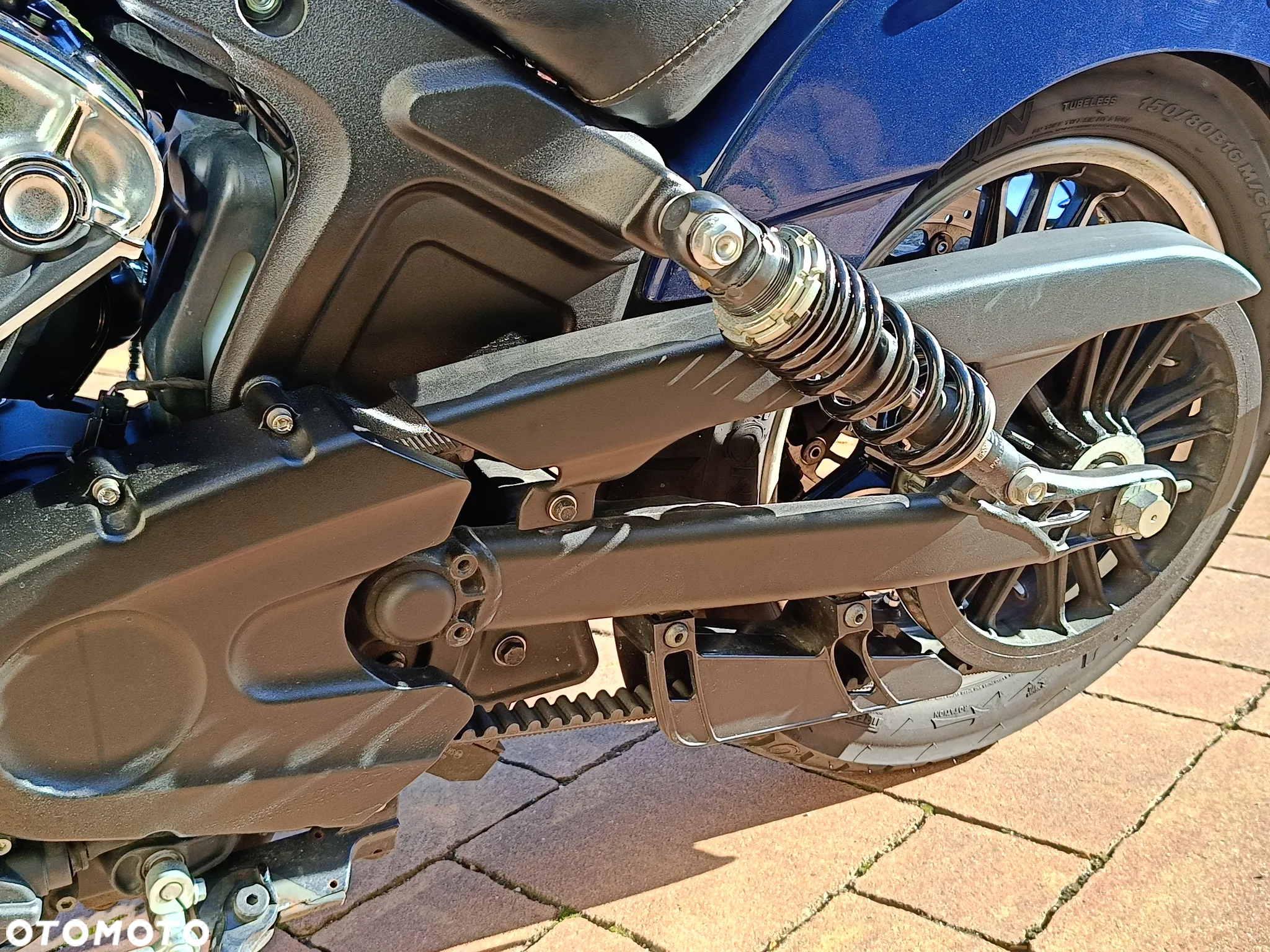 Indian Scout - 11