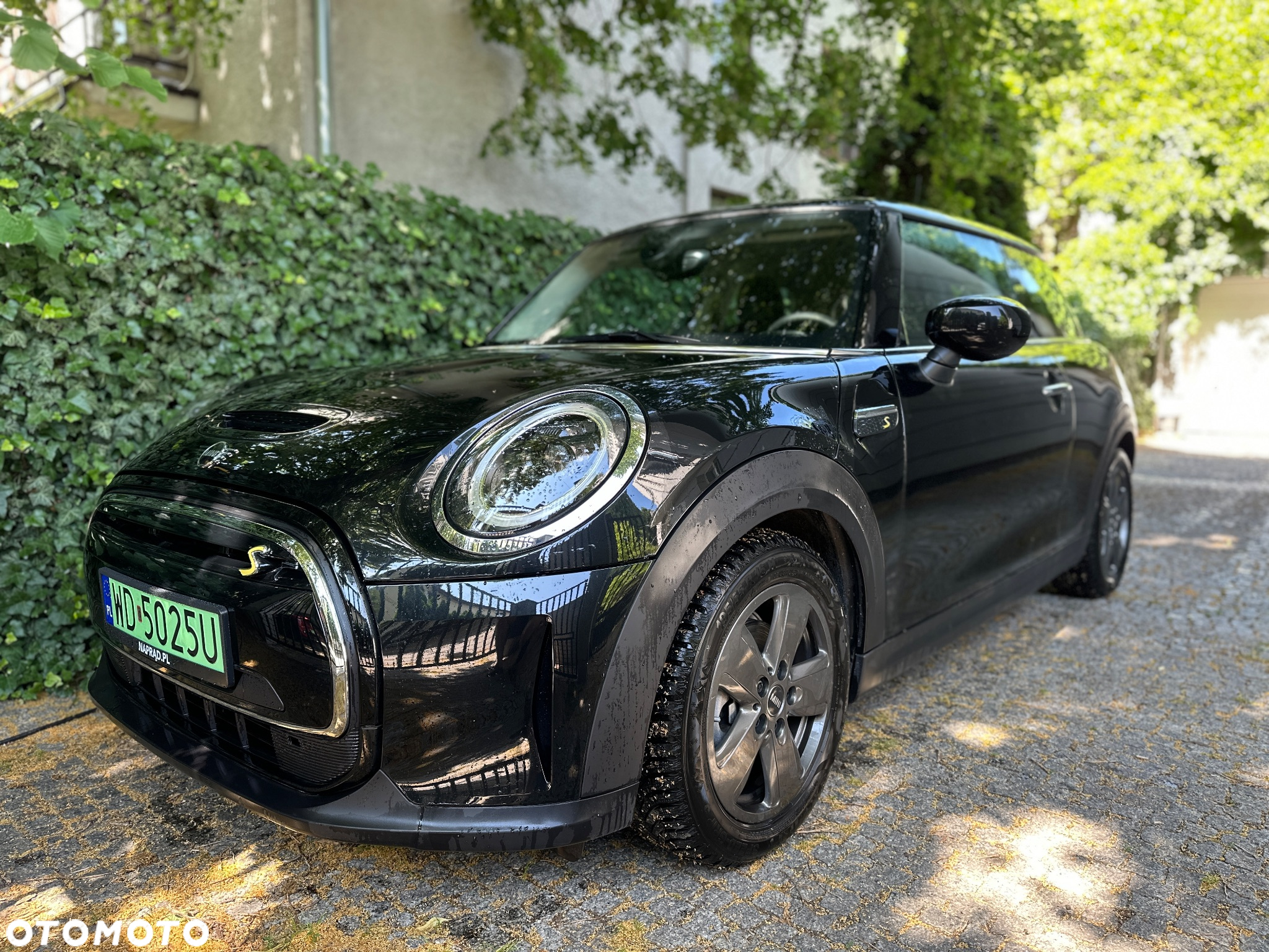 MINI Cooper SE Essential Trim - 2