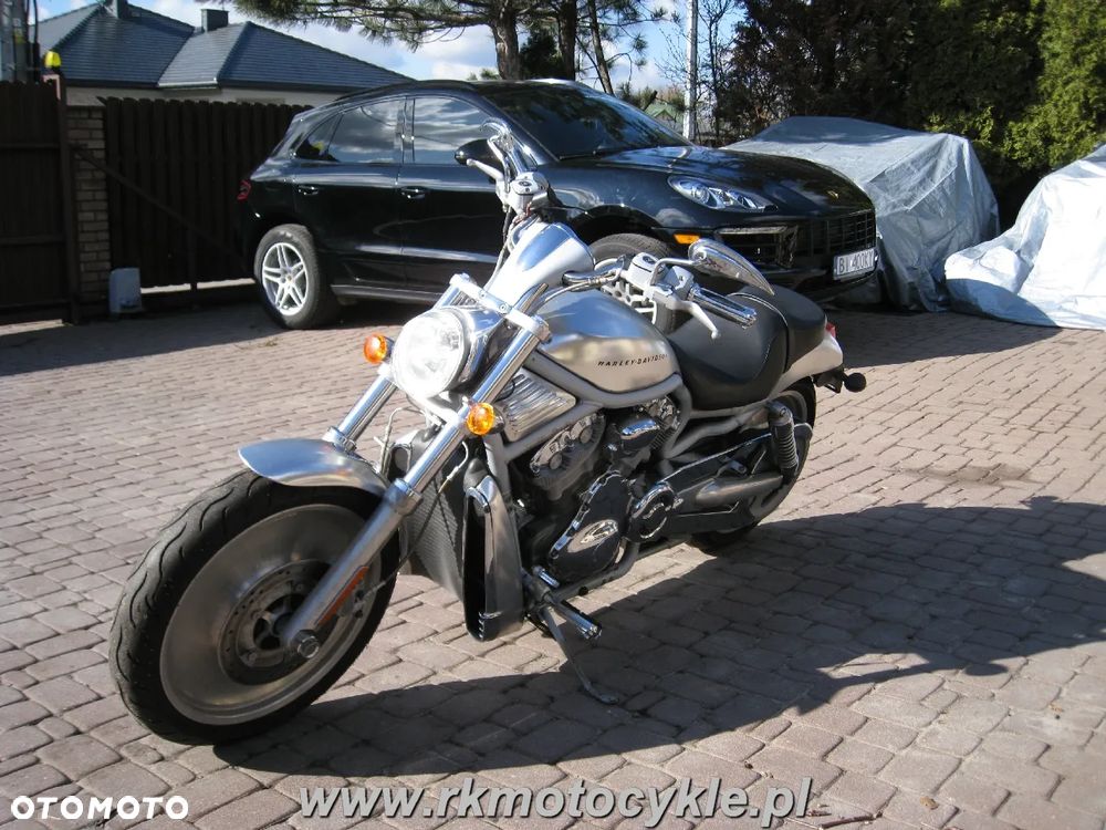 Harley-Davidson Softail V-Rod - 7