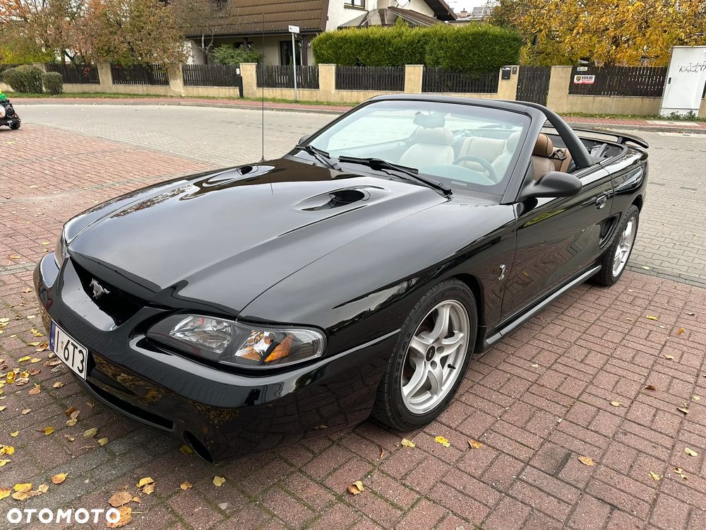 Ford Mustang 4.6 Cobra Convertible - 10
