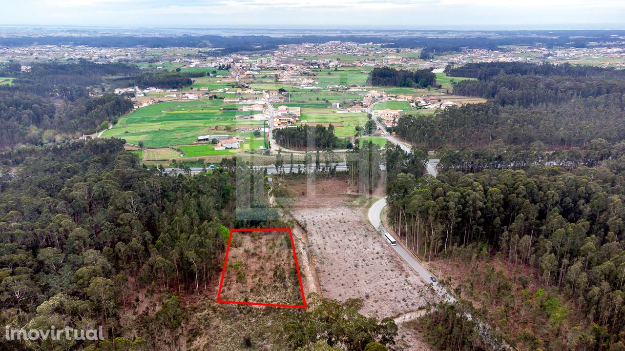 Terreno rústico com 4.100 m2 em Válega - Grande imagem: 4/11