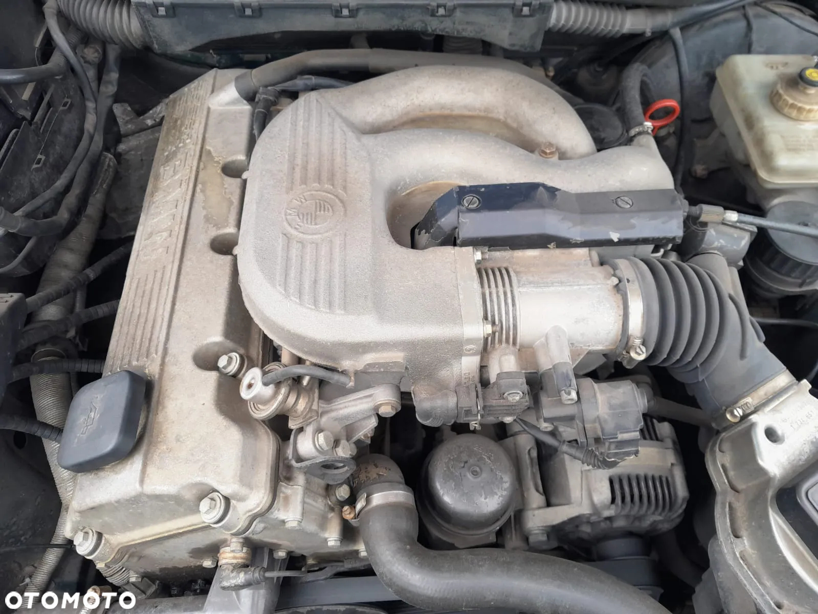 BMW Seria 3 316i - 25