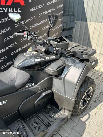 HISUN Guardian 750 - 4