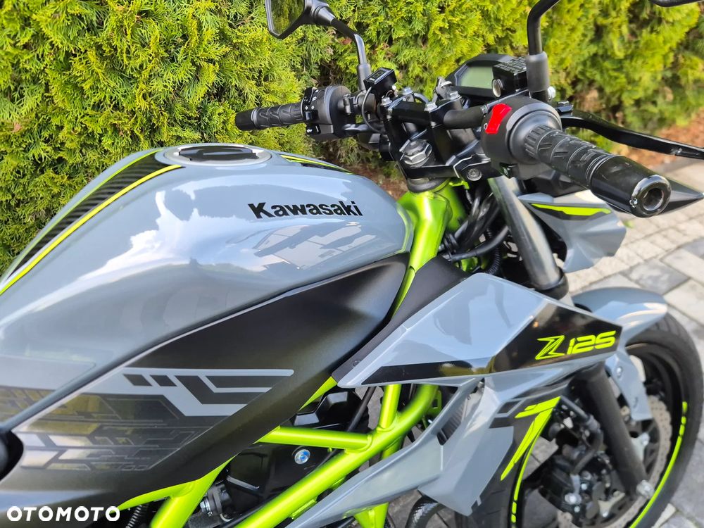 Kawasaki Z - 13