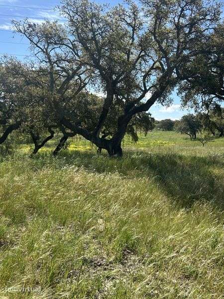 Oportunidade Única: Venda de Herdade em Alcochete! - Grande imagem: 2/3
