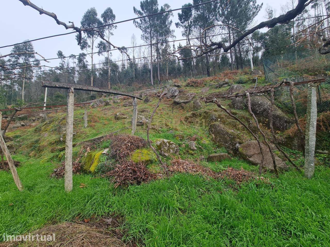 TERRENO RÚSTICO, PENAFIEL, CAPELA (apenas venda conjunta com a referên - Grande imagem: 5/10