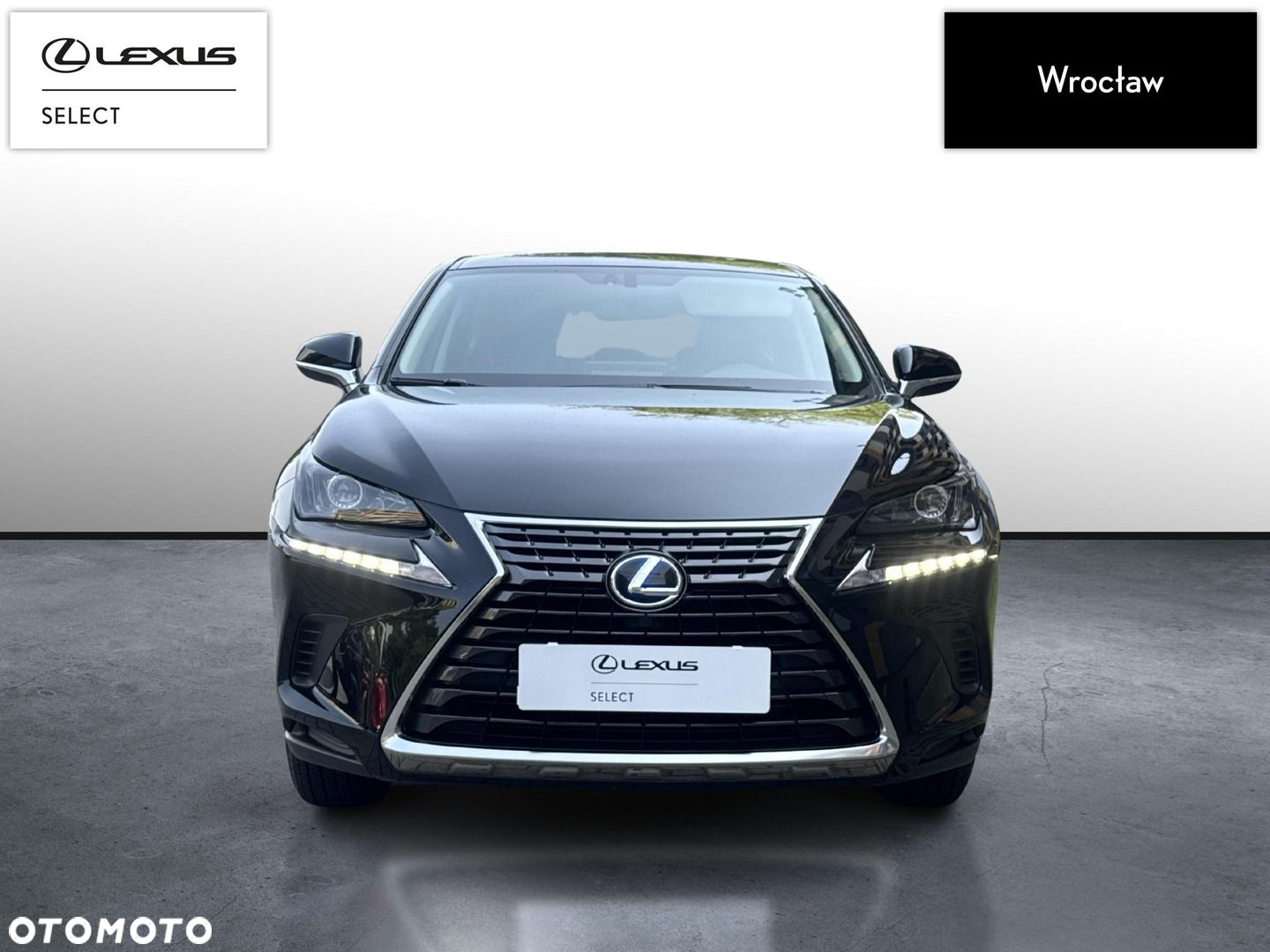 Lexus NX - 8