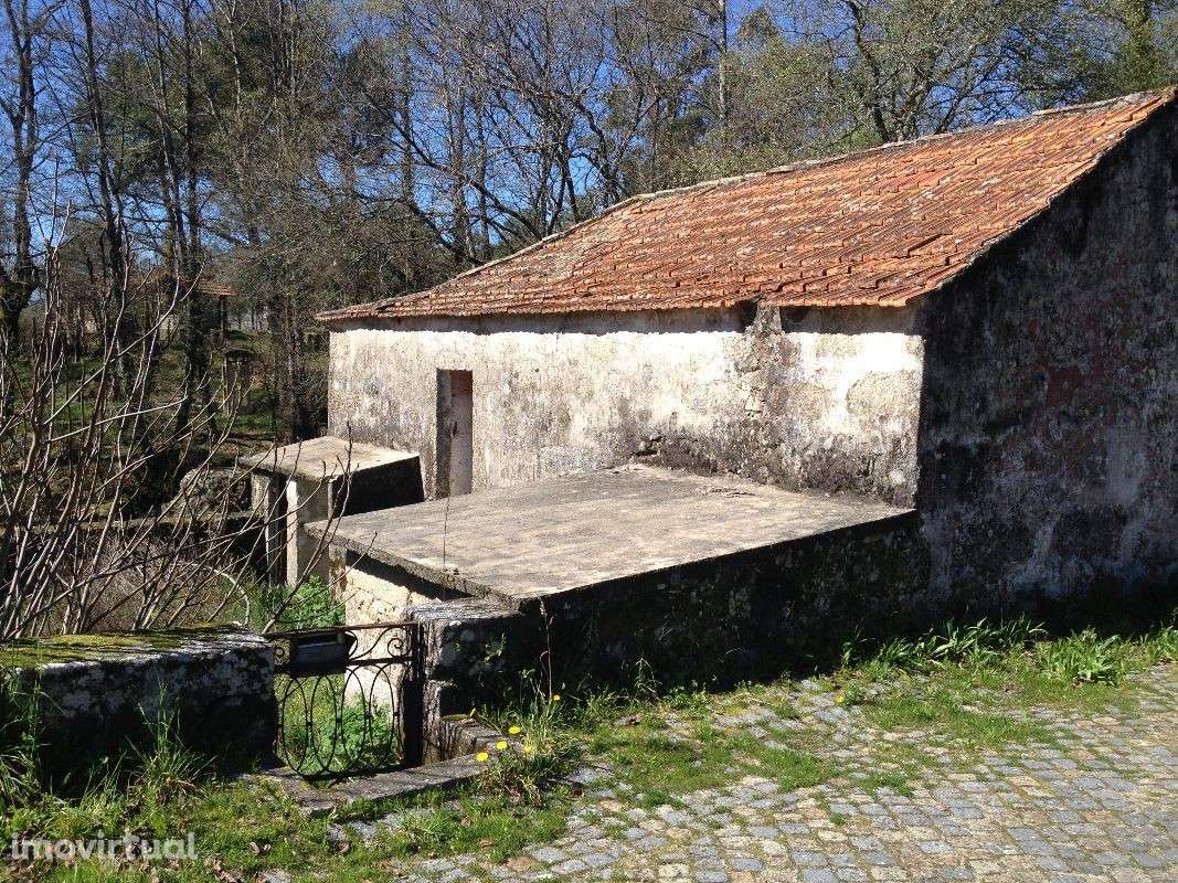 Moradia - Santo Tirso (frente de rio) - Grande imagem: 2/23