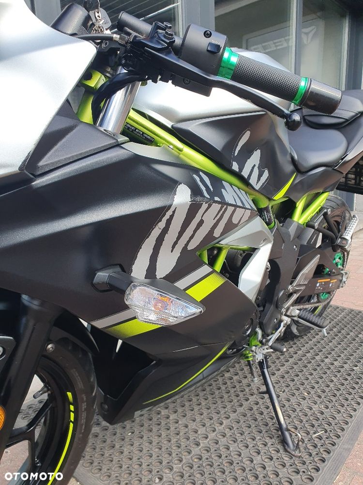 Kawasaki Ninja - 6