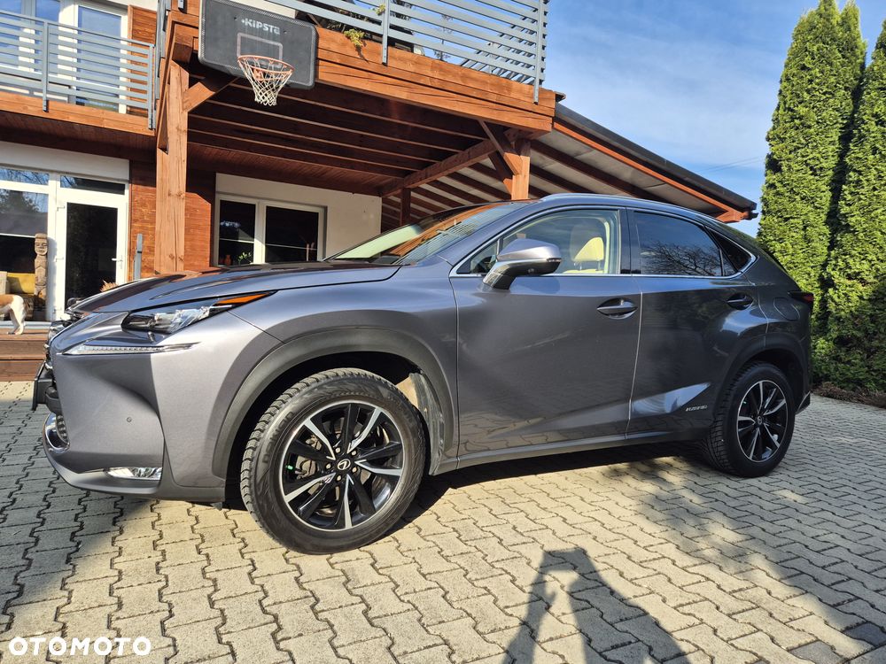 Lexus NX 300h Prestige AWD - 2