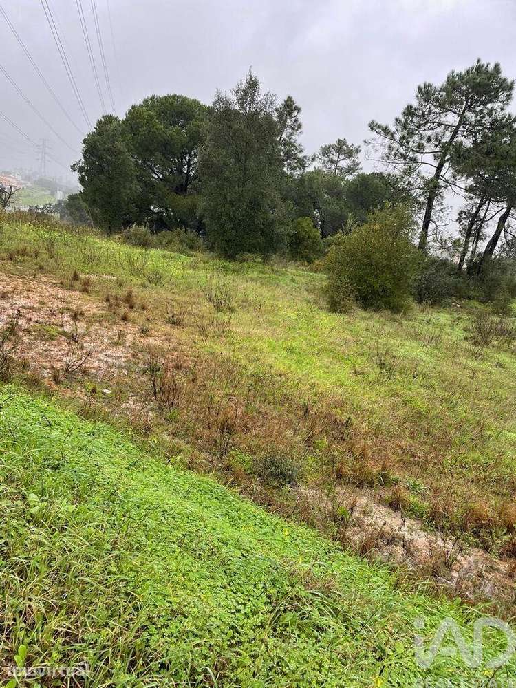 Terreno Agrícola em Gâmbia-Pontes-Alto da Guerra - Grande imagem: 5/13