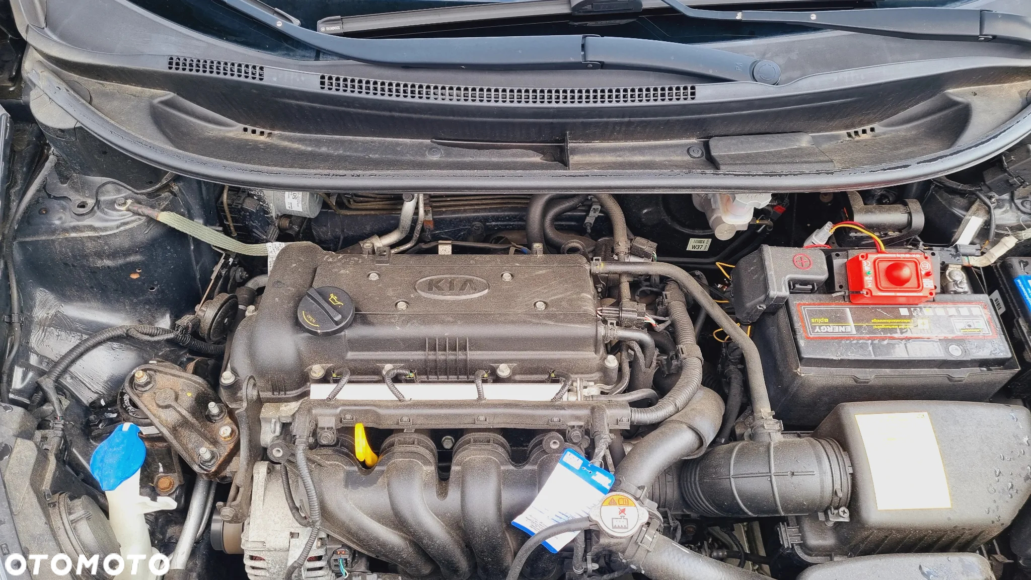 Kia Rio 1.4 Business Line Plus - 26