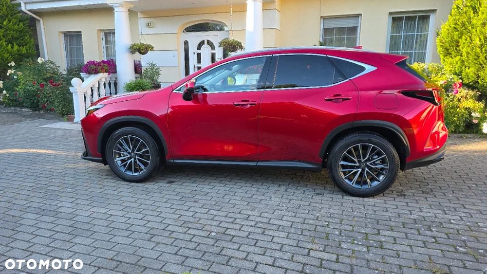 Lexus NX 350h Prestige 2WD - 4