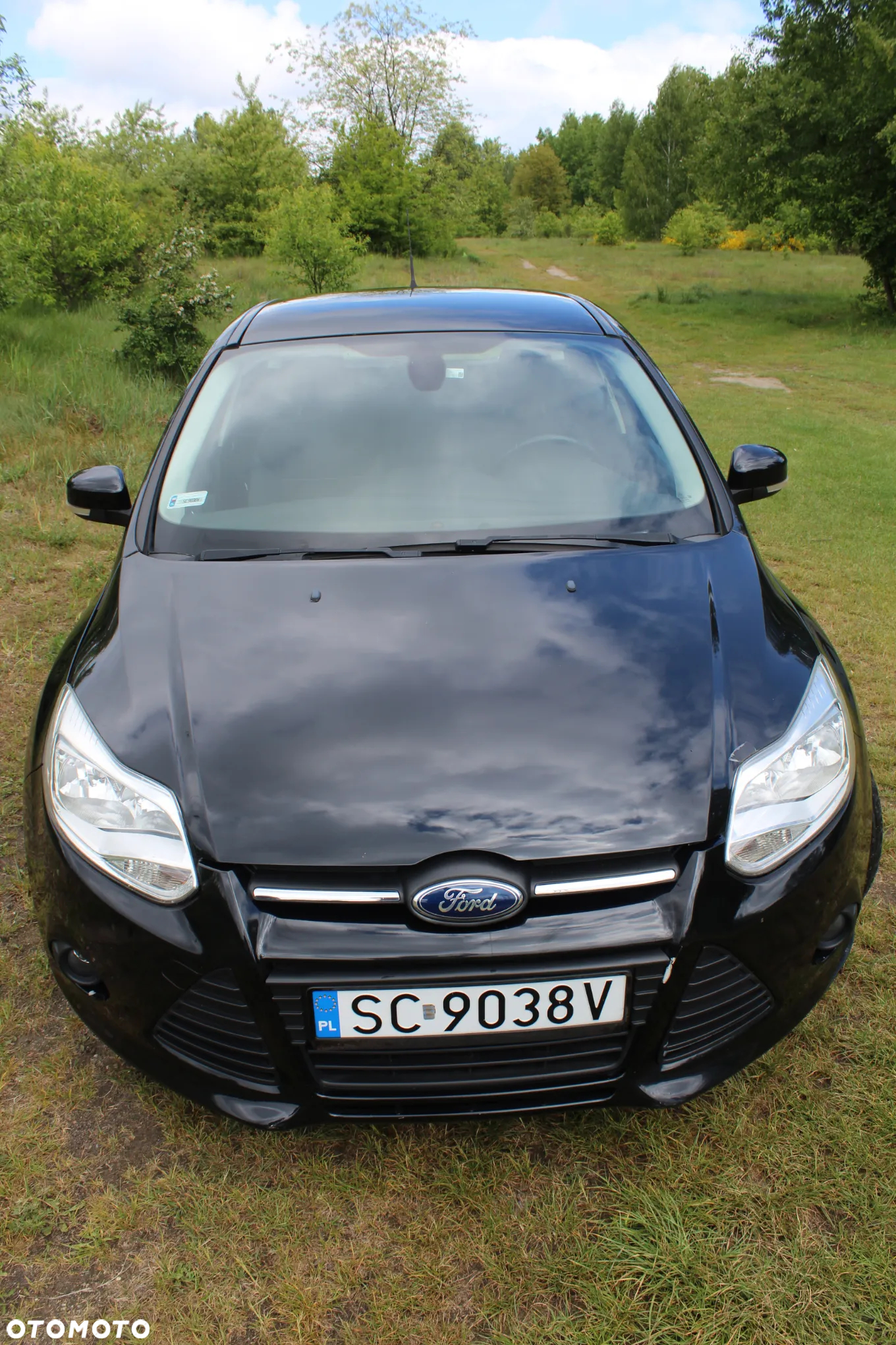 Ford Focus - 7
