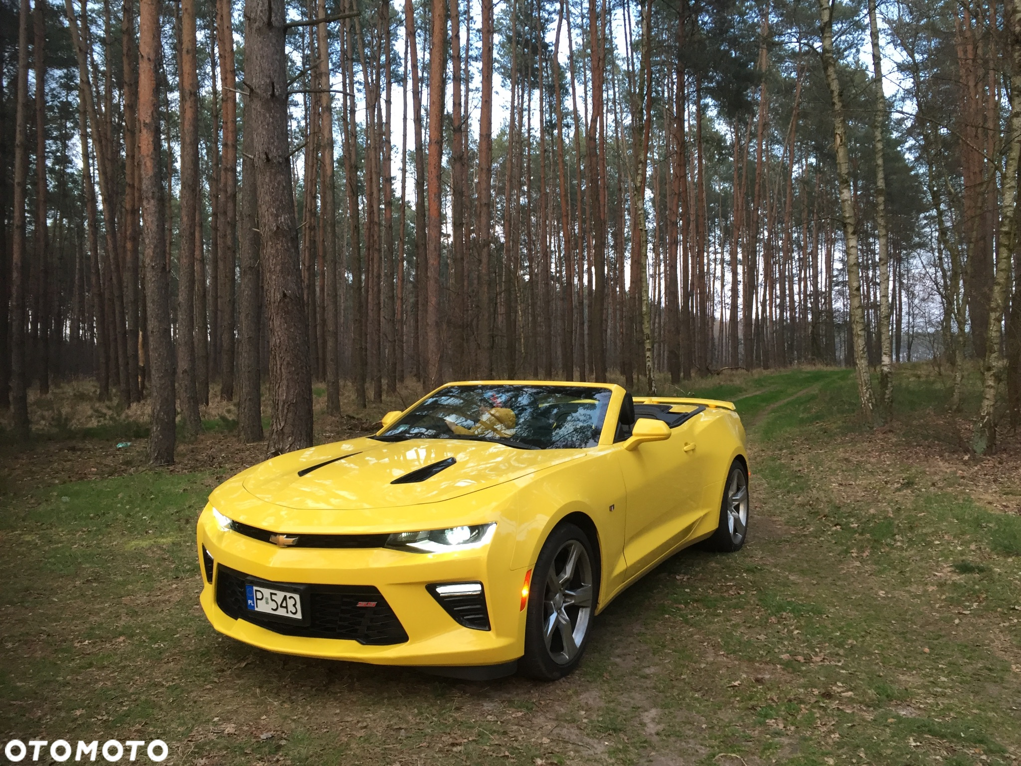 Chevrolet Camaro - 4
