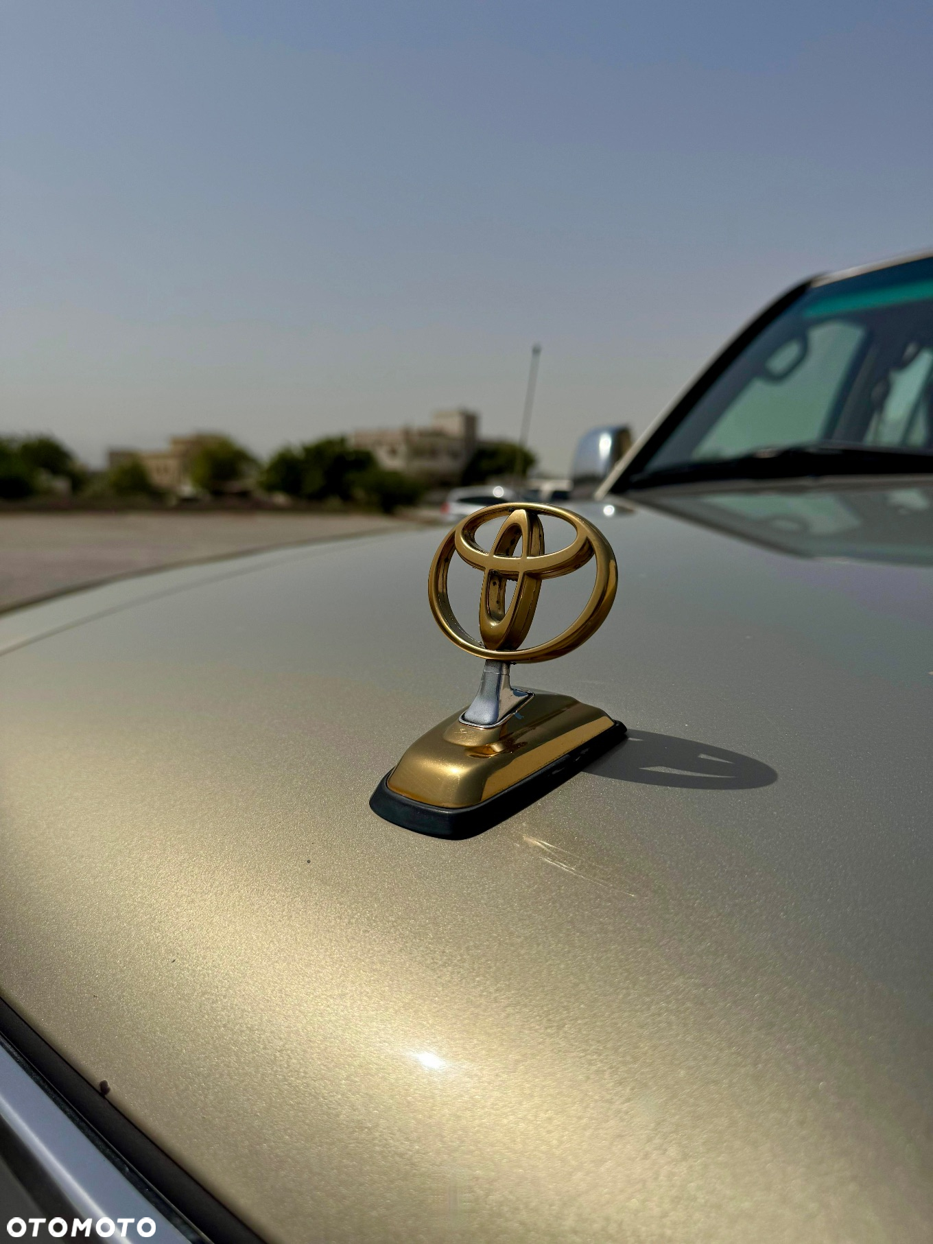 Toyota Land Cruiser - 19