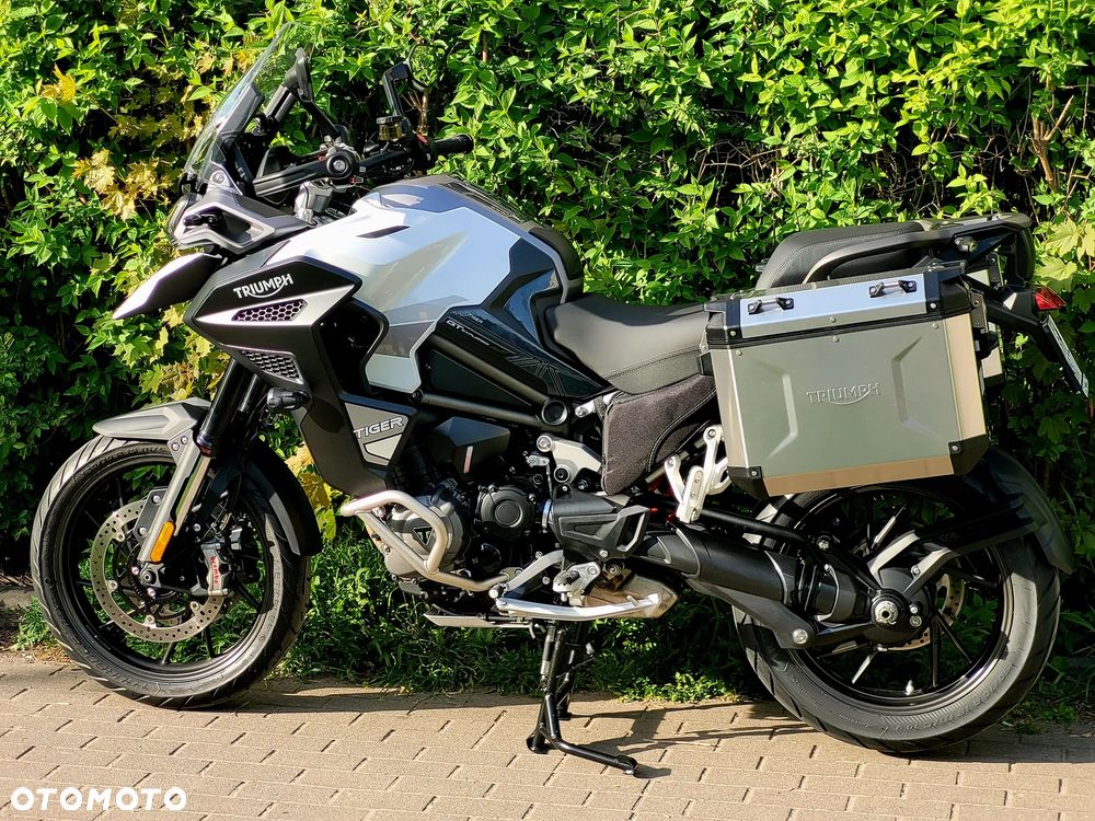 Triumph Tiger - 3