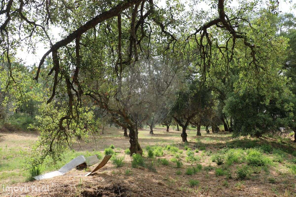 Terreno  para venda - Grande imagem: 3/48