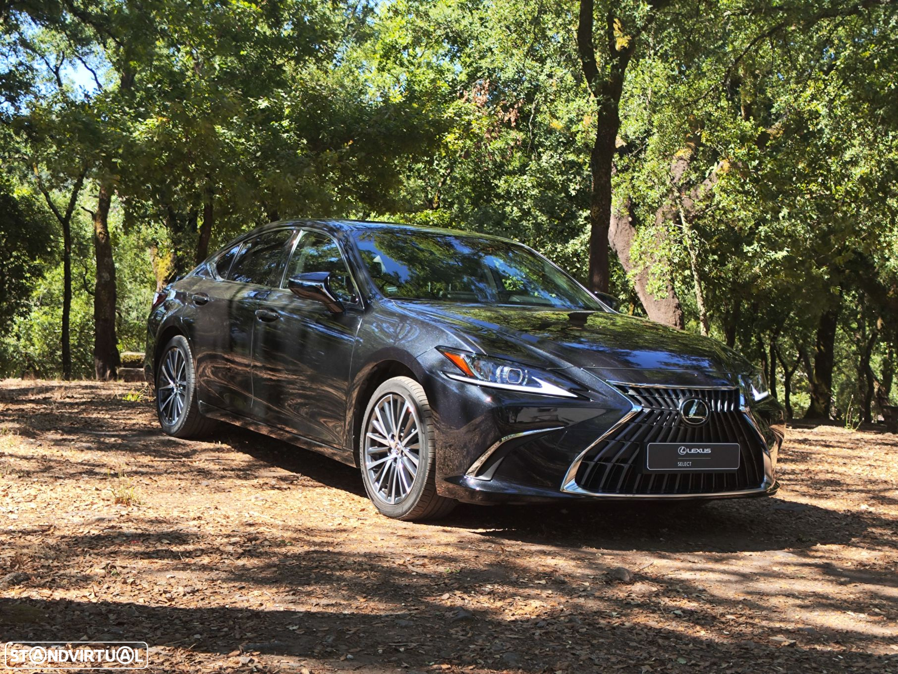 Lexus ES 300h Special Edition - 3