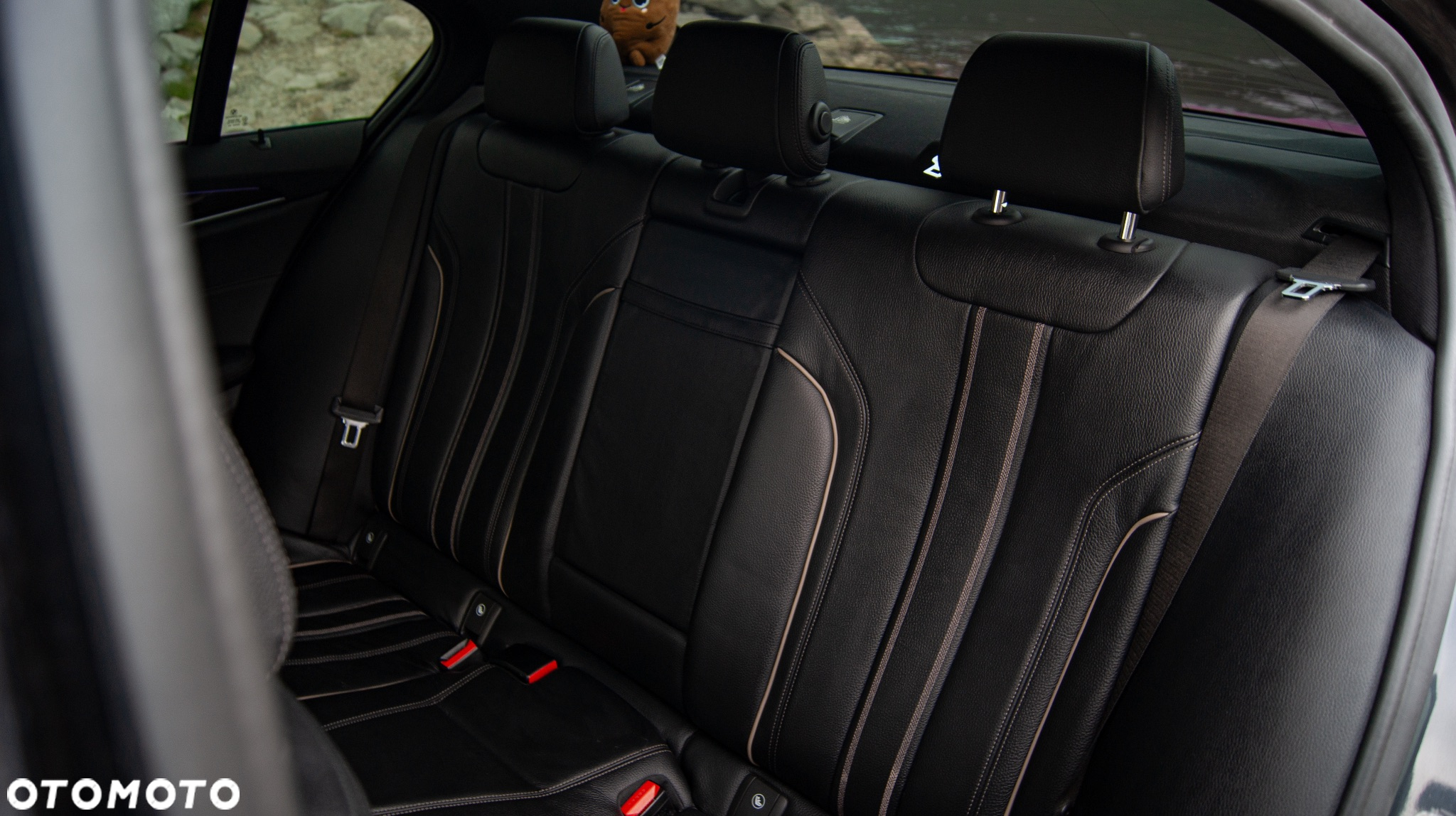 BMW Seria 5 - 30