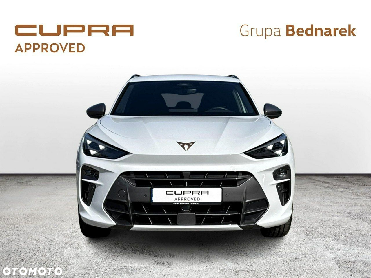 Cupra Terramar - 8