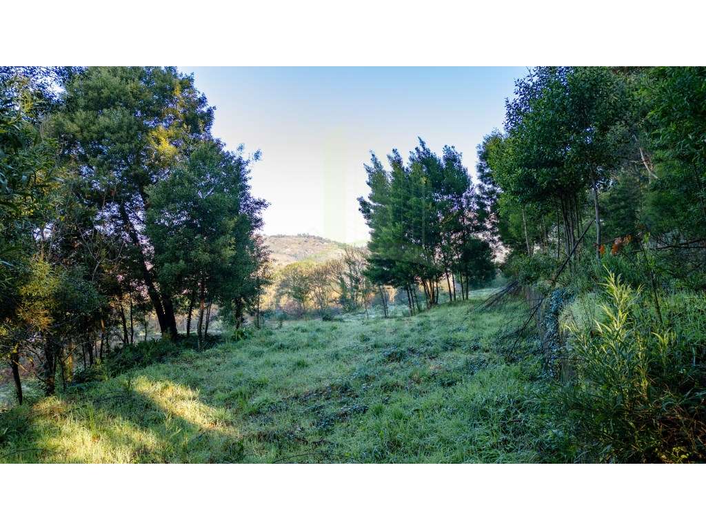 Terreno para construção em Vilar de Mouros - Grande imagem: 5/10